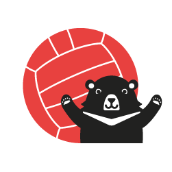 排球